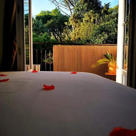 Hotel Instant Cosy *